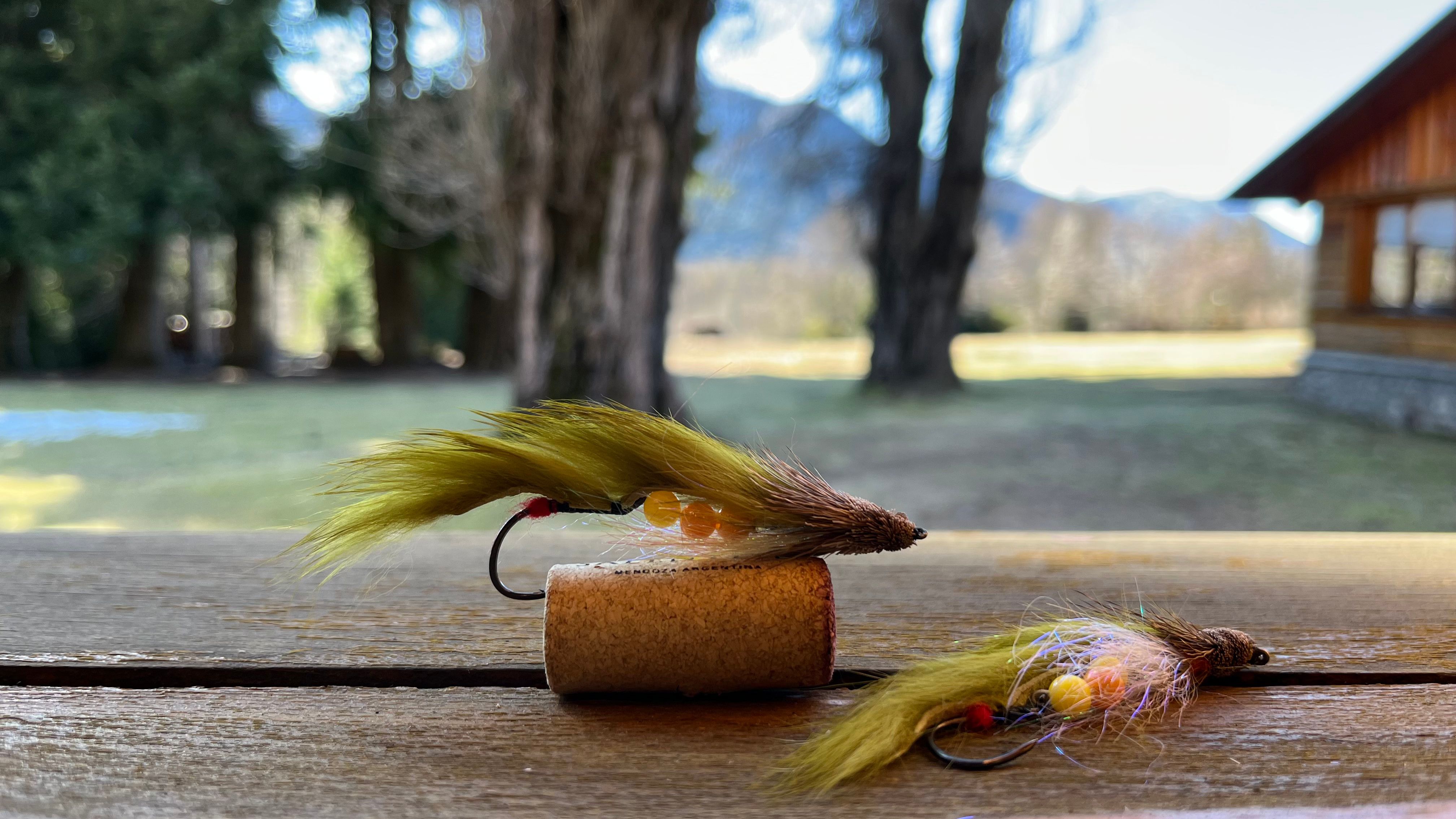 Pesca con mosca en Patagonia — Sur del Cast